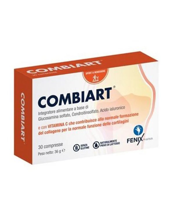 COMBIART